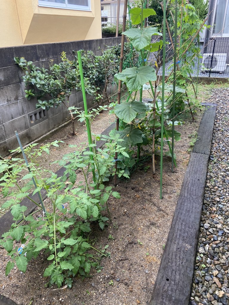 家庭菜園 公式 ビジネス旅館さつま